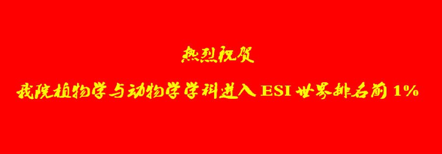 toptop官网下载入口最新版下载植