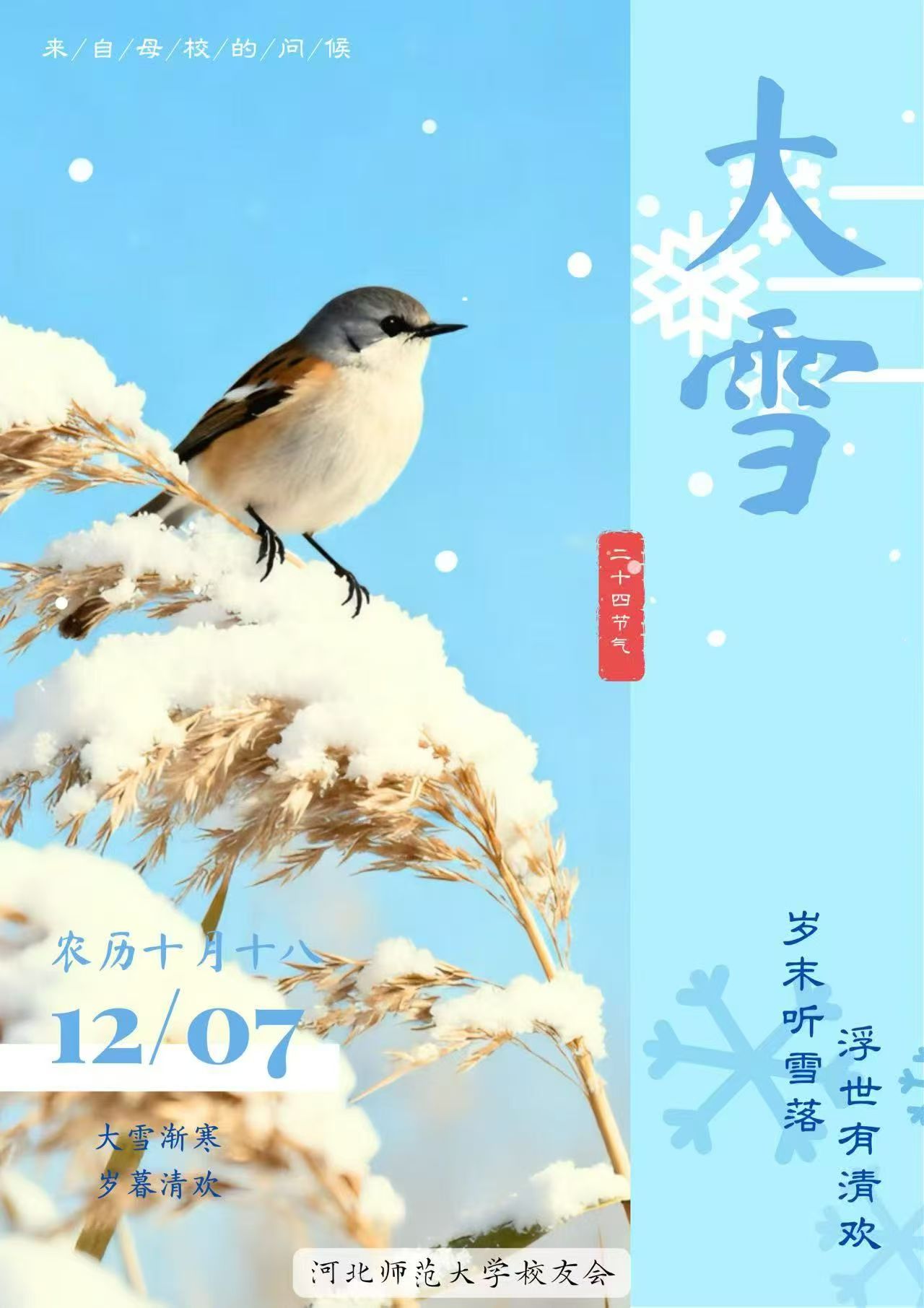公告通知