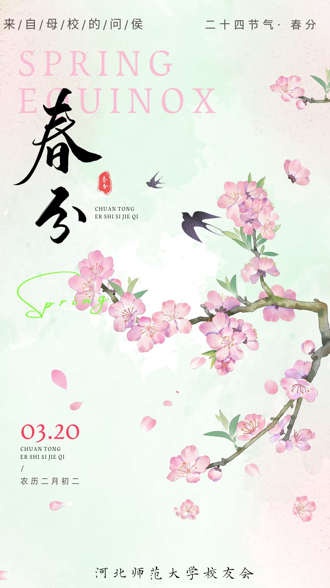 动态速览