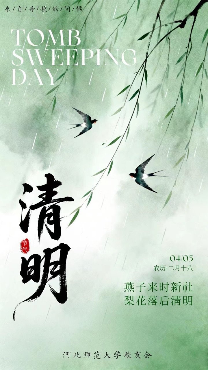toptop官网下载入口