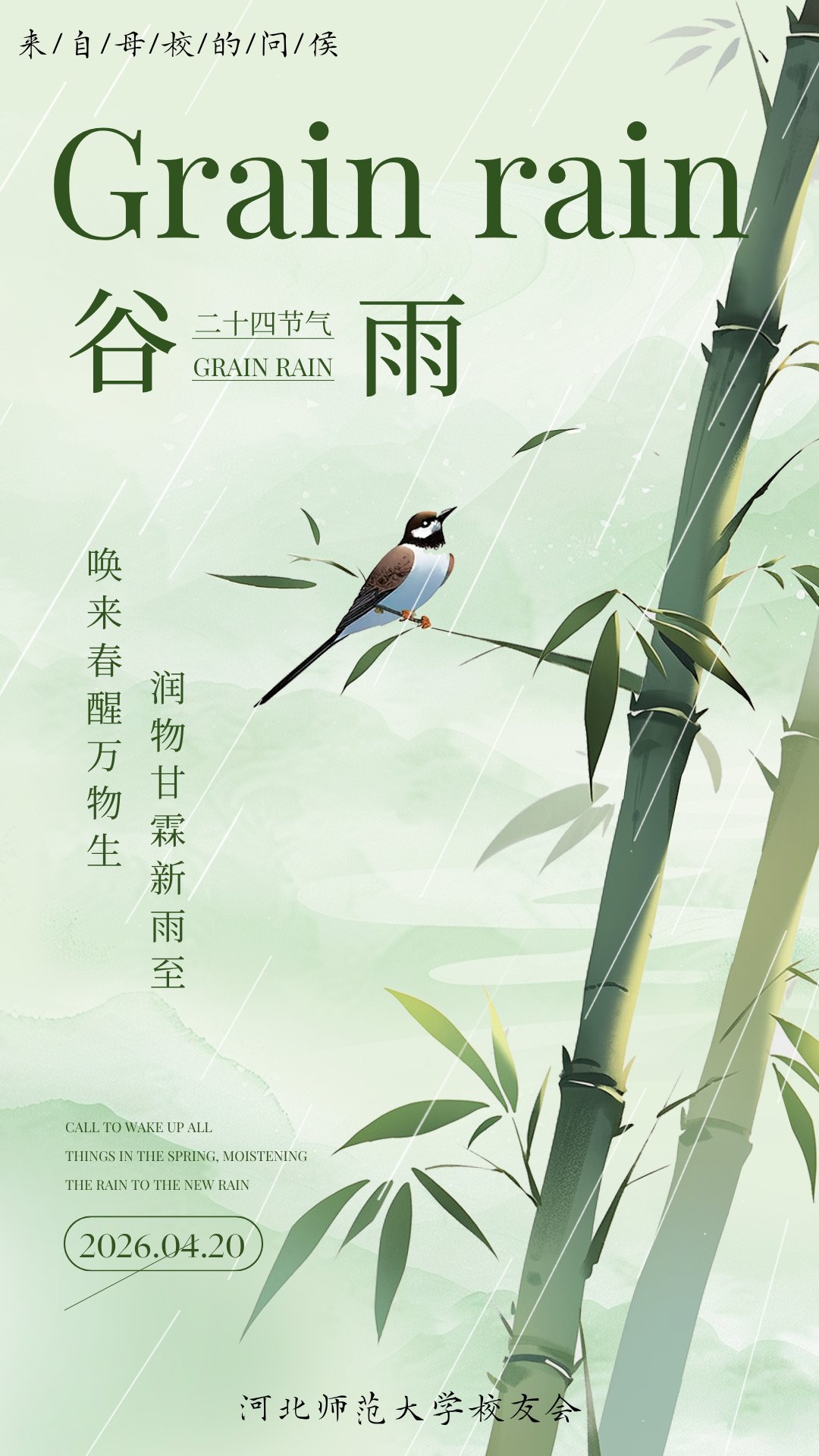 toptop官网正版下载玩法说明