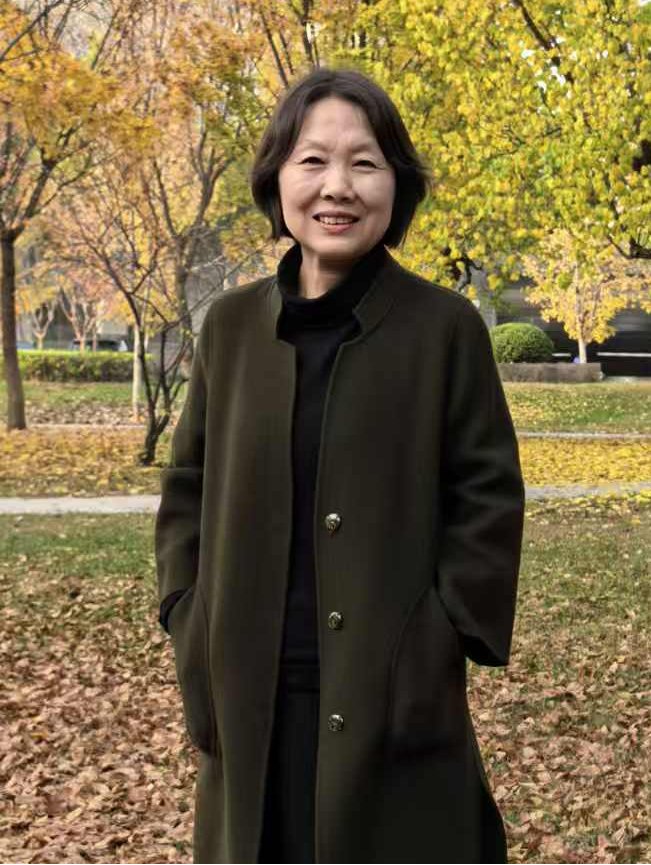 toptop官网下载入口
